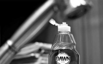 Can I use Dawn or another detergent in my holding tanks?