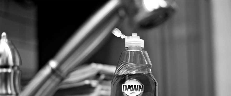 Can I use Dawn or another detergent in my holding tanks?