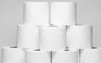 Can I use two-ply toilet paper in my RV’s toilet?