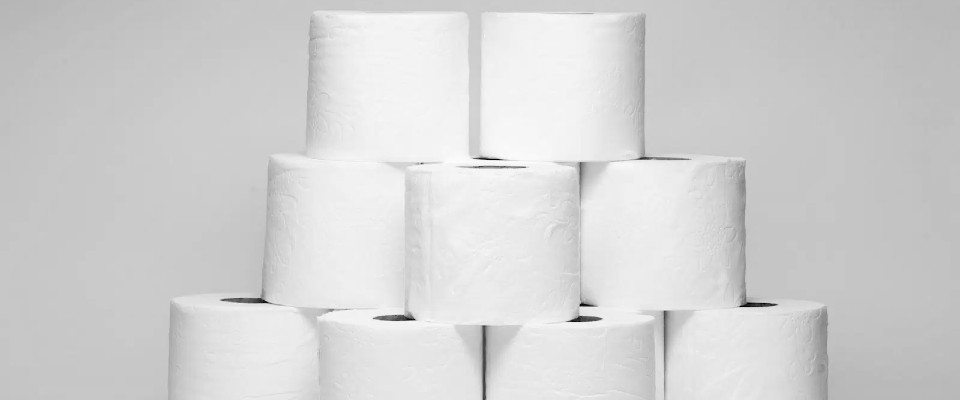 Can I use two-ply toilet paper in my RV’s toilet?